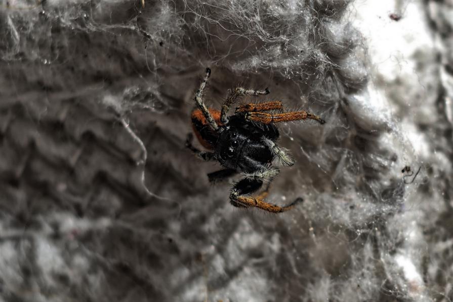 La mia vita dipende da te 