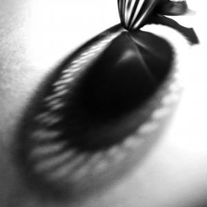 Six thoughts of the same thing - Squeezer