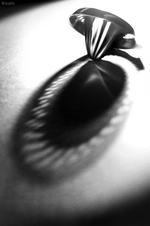 Six thoughts of the same thing - Squeezer