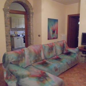 I colori della biodiversità -2016-divano