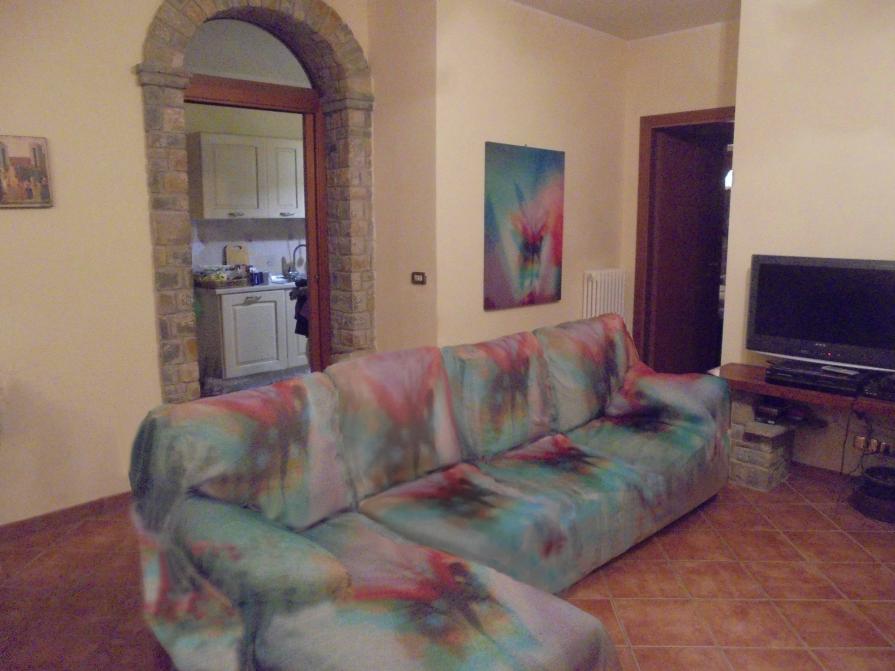 I colori della biodiversità -2016-divano