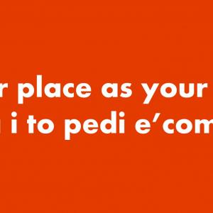 your place as your skin (banner)