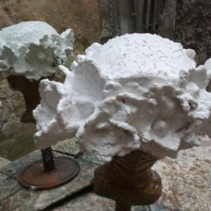 La materia prende forma e teoria del metamorfismo cromatico La materia prende forma e teoria del metamorfismo cromatico