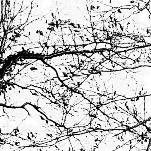 Cicatrici nel cielo5, SC-art Cicatrici nel cielo5, SC-art