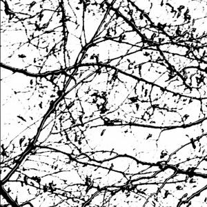 Cicatrici nel cielo9, SC-art Cicatrici nel cielo9, SC-art