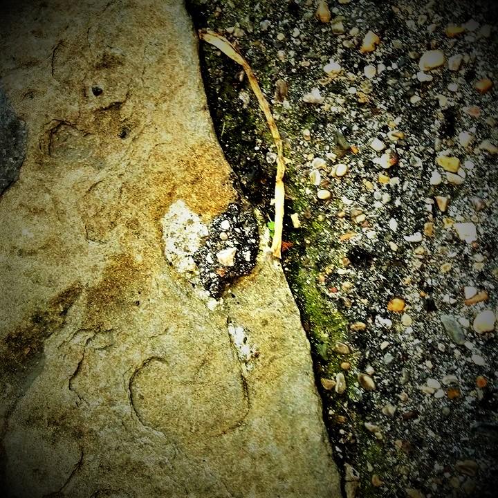 Passeggiando - Angelo mio ci sei  <3