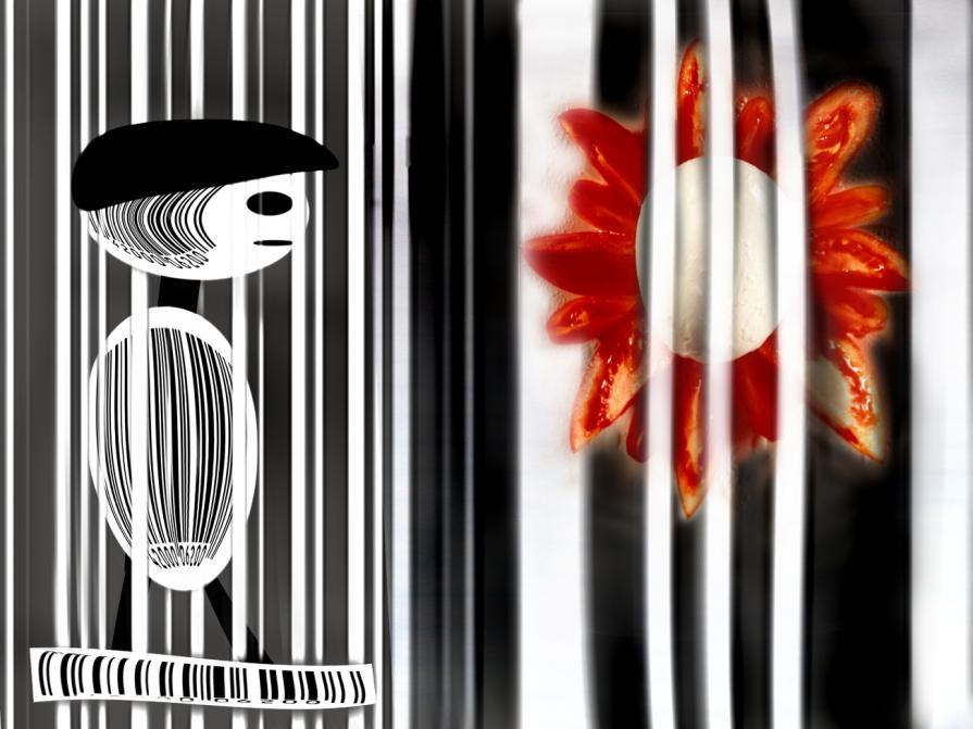 codificati imprigionati,tutti.