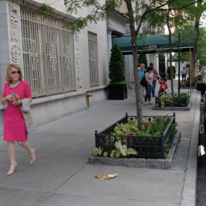 Trashed: Upper East Side