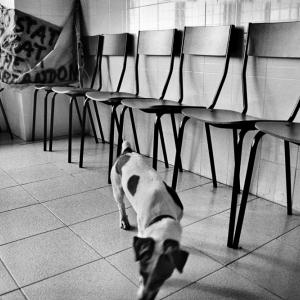 MAD Jolly - Jamila Campagna "L'occupazione della Tacconi sud"