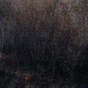 IN ART Obiettivo Fotografia