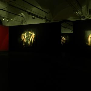 ROBERTA CONI-TENTAR LA CARNE inferno I