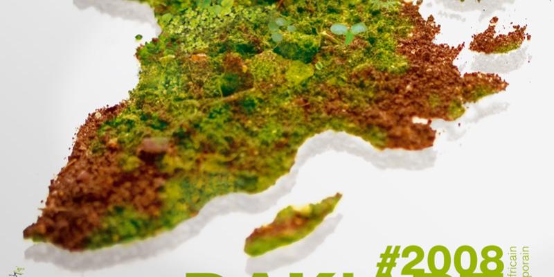 Dak'Art. Africa «Contemporanea»