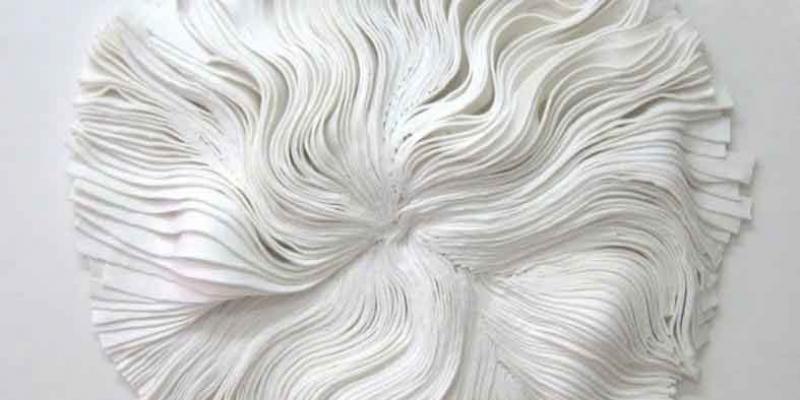 Nero su bianco - Paola Pezzi