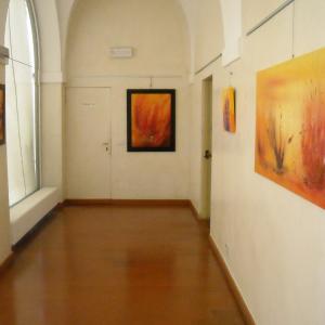 NEWS EXPò AL CASTELLAZZO DI PARMA