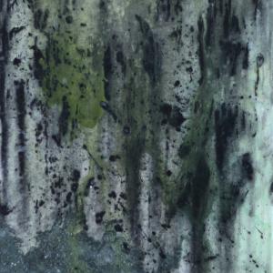 Premio Afrodite 2013