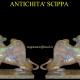 Antichità Scippa