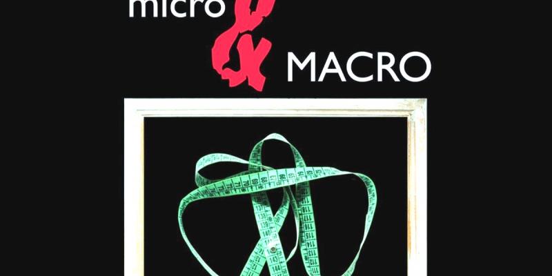 microMACRO Reggioemilia Gall.METAMORFOSI microMACRO Reggioemilia Gall.METAMORFOSI