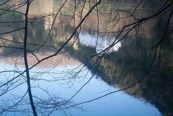 COMUNICARE DI FOTOGRAFIA: DALL'ANALOGICO AL DIGITALE (personale di fotografia di Edoardo Angrisani) 10 Agosto 2014, Museo di Storia Naturale del Vulture, Monticchio (Pz).