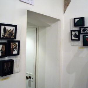 ZOO D'ARTE, L'ARCA DI NOè ALLA GALLERIA ARTEARTE DI MANTOVA