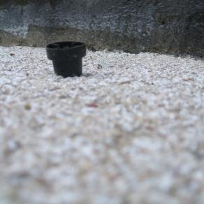 Standard a soqquadro