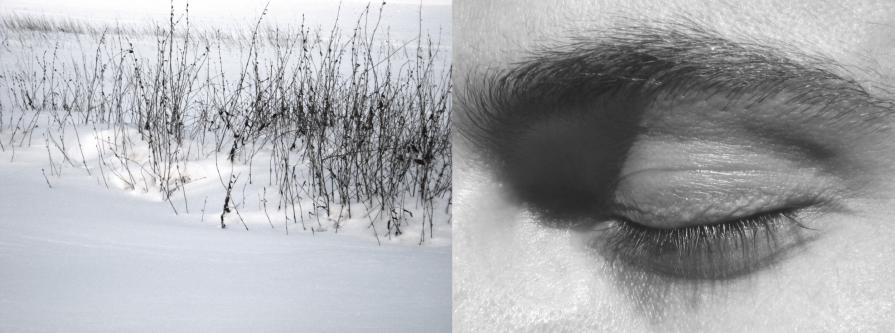 respiri, segni, silenzi,