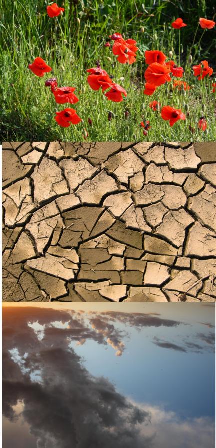 Earth has taught me this: