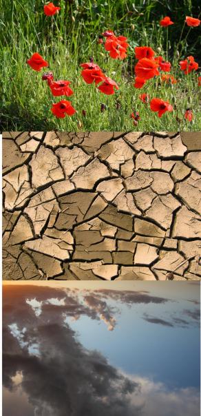 Earth has taught me this: