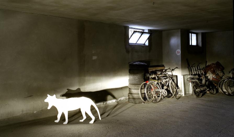 The Last Thylacine #1 The Last Thylacine #1