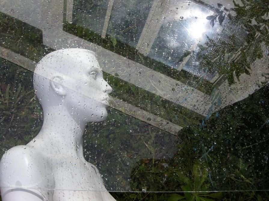 FONTE DELLA VITA FONTE DELLA VITA