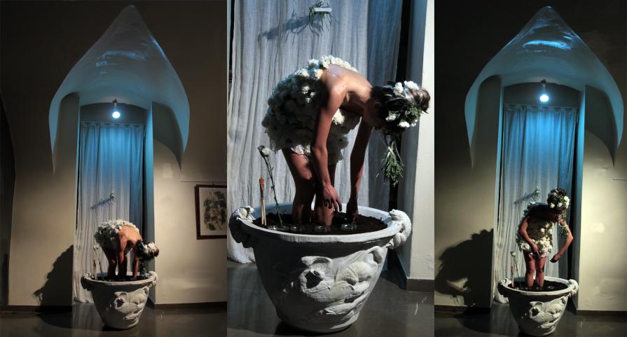 Euthalia/ Fiore che sboccia Euthalia/ Fiore che sboccia