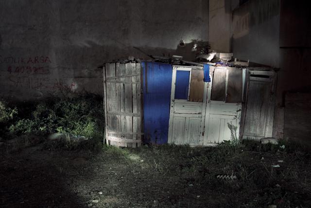 Bird on the wire III Bird on the wire III