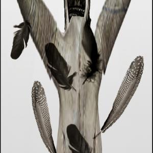 T O T E M e M A S C H E R E a. MODENA T O T E M e M A S C H E R E a. MODENA