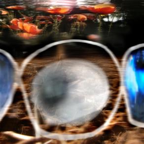 evadiamo dal evasione. coltiviamo una nuova civilta umana.