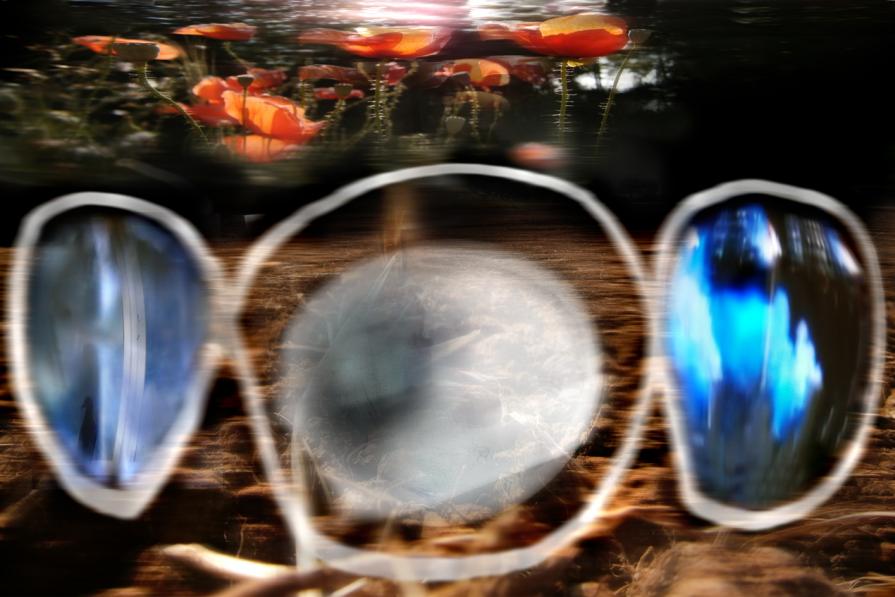 evadiamo dal evasione. coltiviamo una nuova civilta umana.