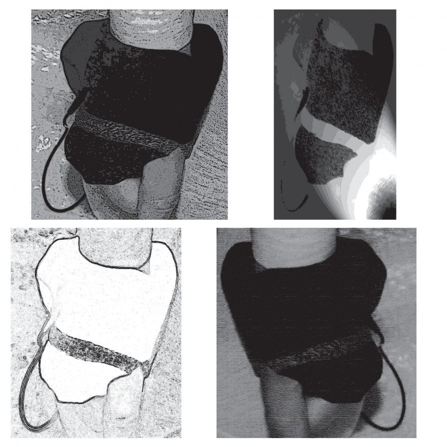 Frankenstein Bride Treatment (2) 20103 Frankenstein Bride Treatment (2) 20103