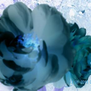 anche distorta la bellezza rimane bellezza