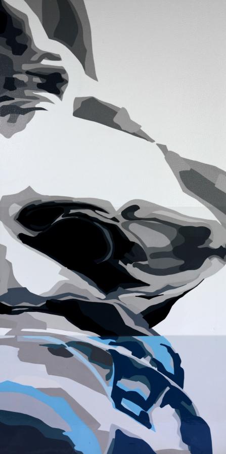 ISTRUZIONI OVUNQUE (Progetto Dante Alighieri) ISTRUZIONI OVUNQUE (Progetto Dante Alighieri)