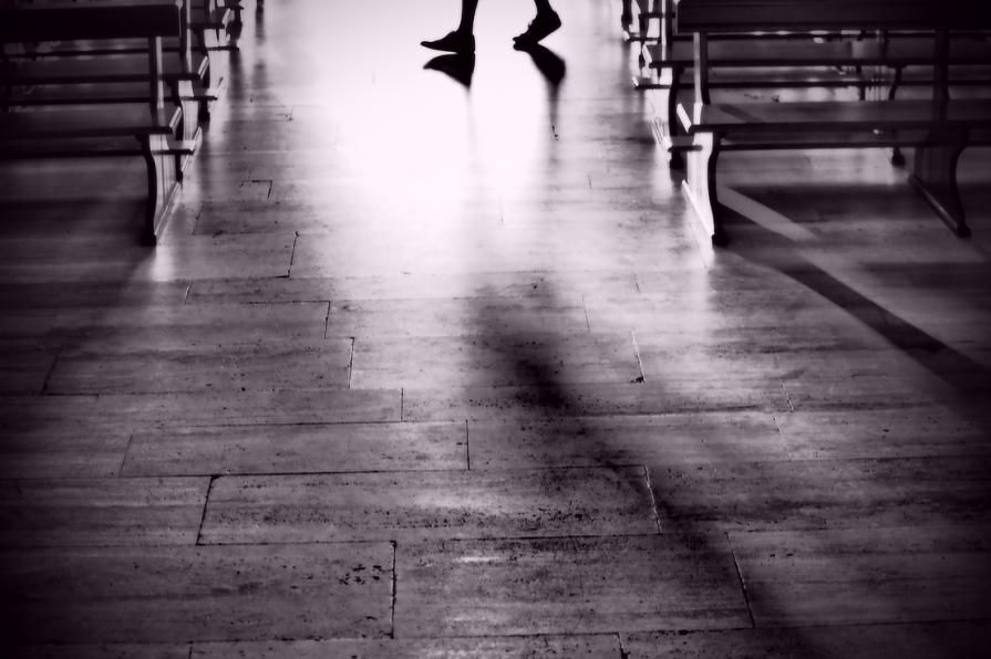 La fede e la ricerca 