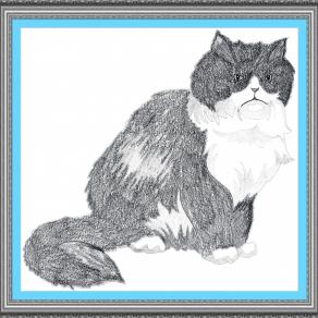 CI SONO PERSONE CHE NON FINISCONO MAI DI VOLERSI BENE SEMPLICEMENTE PERCHE' CIO' CHE LI LEGA E' PIU' FORTE DI CIO' CHE LI DIVIDE...!!!