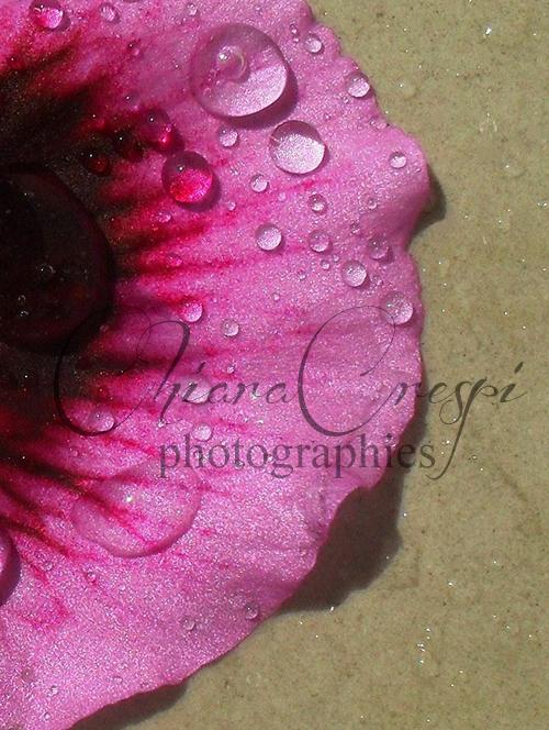 La quiete dopo la tempesta