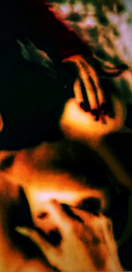 La finestra sul cortile