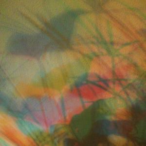 I colori della biodiversità -2015