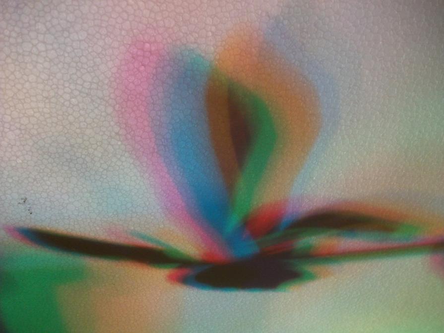 I colori della biodiversità -2015