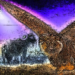 . . . MEGLIO VIVERE UN GIORNO DA LEONE CHE CENTO DA PECORA !!! . . . 