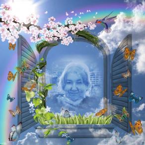 . . . OGNI NUOVO MATTINA USCIRO' PER LE STRADE CERCANDO I COLORI !!! . . . 