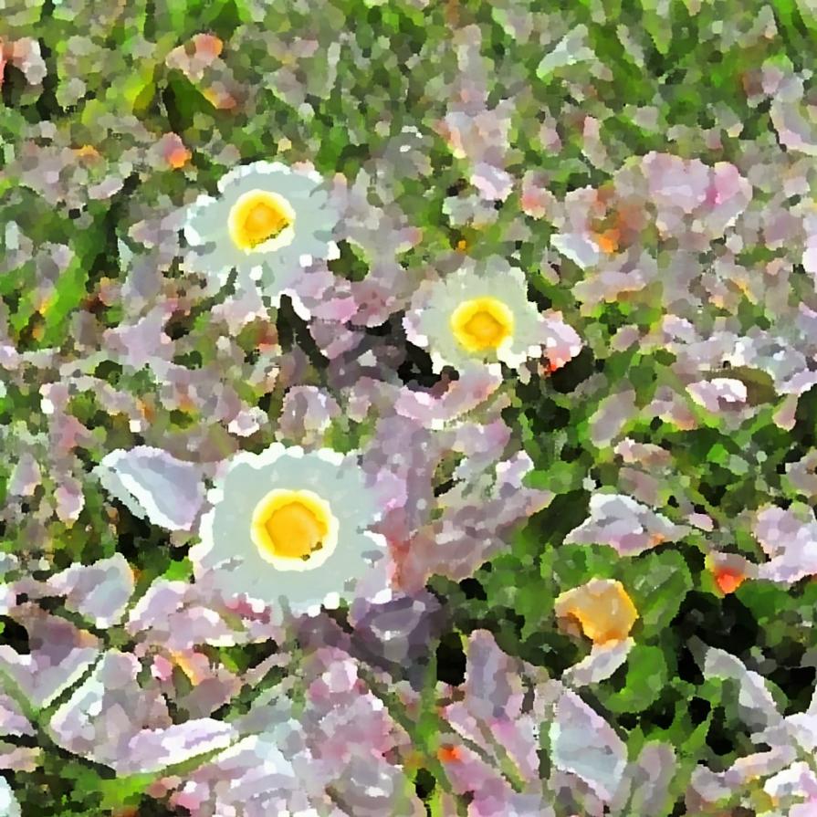 Maledetta primavera !!!