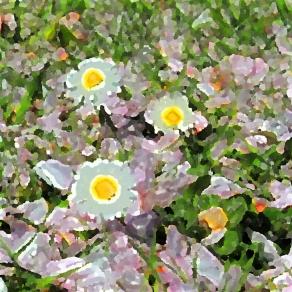 Maledetta primavera !!!