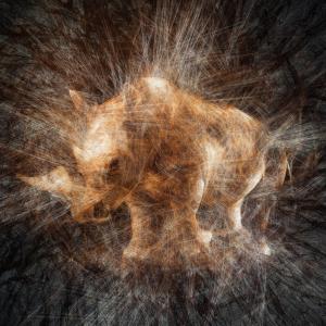 Entanglement (Rhino)