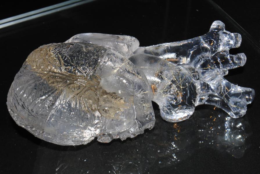 Sacred Heart Sacred Heart