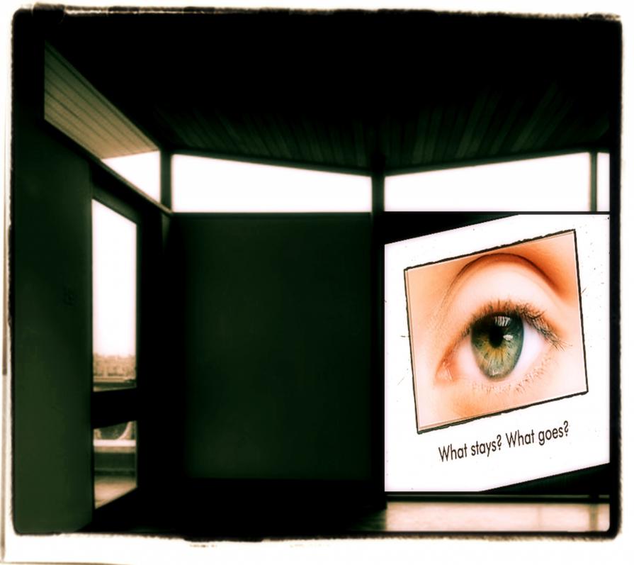 What Stays What Goes